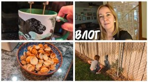 КУЧА ДЕНЕГ ПОЧТИ НИ ЗА ЧТО! / НЕ ЖИЗНЬ, А ХРОНИКА ХУДШИХ НОВОСТЕЙ АЙДАХО!