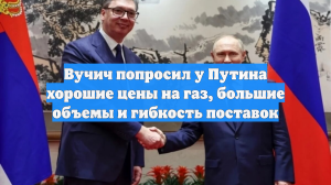 Вучич попросил у Путина хорошие цены на газ, большие объемы и гибкость поставок