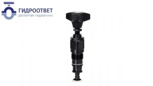 DBDH6K1X/200 - Гидравлический клапан предохранительный