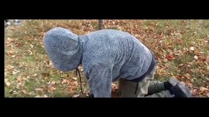 Реакция на серию яблоки и монстры