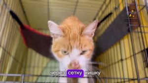 copy_BF9B38FE-9D1D-471A-9BF7-C809E4363172