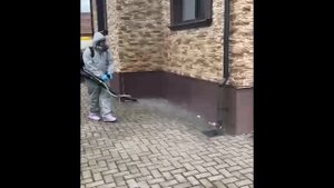 Уничтожение насекомых Обработка участков от клещей