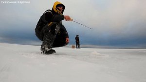 Рыбалка на Снегоходе Sharmax SN 480 Max Pro, Окунь, Cиг, Зимняя Рыбалка на Онежском Озере в Карелии