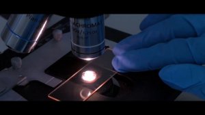 Презентационный ролик 6 секунд