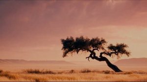 Вечный день...