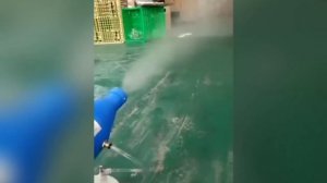 Уничтожение клопов Холодным Туманом

📞+7-912-243-00-02 или пишите в месенджеры