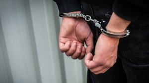 Задержан подозреваемый по делу об исчезновении «Дюймовочки» на Кубани