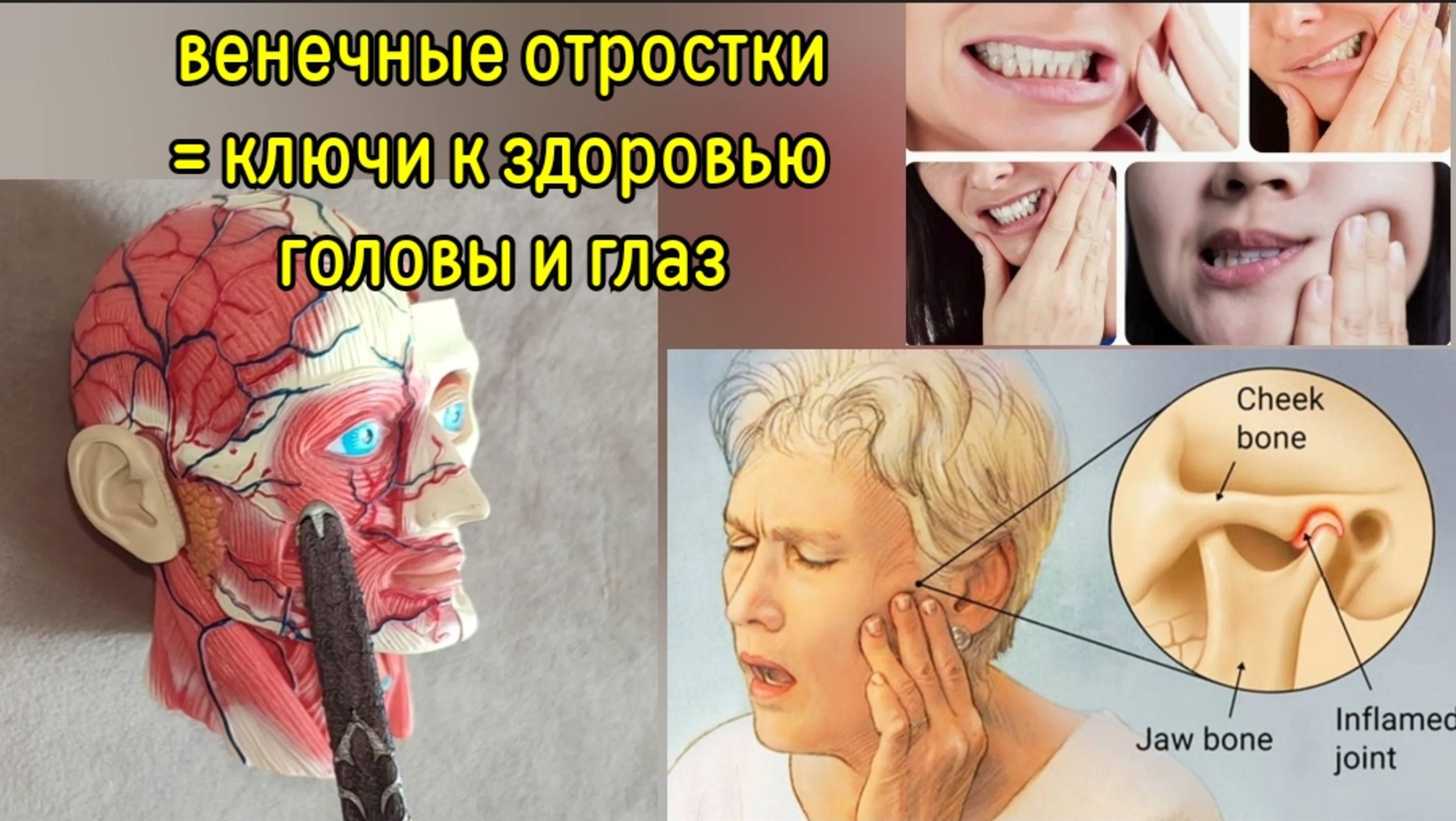 Зрение и слух зависят от зажатых венечных отростков челюсти. Методы декомпрессии