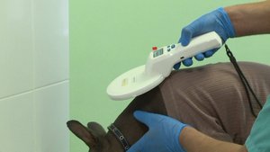 Ветеринар рассказал, почему важно чипировать питомца