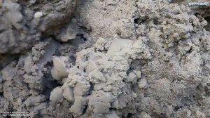 СНТ "Радуга-2". "Игла" отжила свой век, делаем новую.