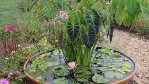 Водоёмы, в миниатюре и вторая жизнь, корпусной мебели !