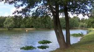 Завершилась очистка Верхнего пруда в Дзержинском