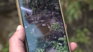 Жир сливают в пруд