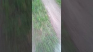 лажу через коллектор!