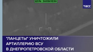 "Ланцеты" уничтожили артиллерию ВСУ в Днепропетровской области