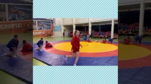 ШСК «КЛУБ САМБО» , МАОУ СОШ 49 г.Краснодар