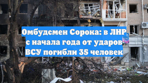 Омбудсмен Сорока: в ЛНР с начала года от ударов ВСУ погибли 35 человек
