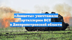 «Ланцеты» уничтожили артиллерию ВСУ в Днепропетровской области