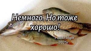 Немного. Но тоже хорошо!