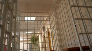 РАДИ ТЫСЯЧИ РУБЛЕЙ… | Новости Камчатки | Масс Медиа