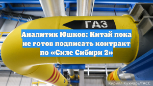 Аналитик Юшков: Китай пока не готов подписать контракт по «Силе Сибири 2»