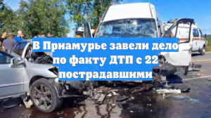 В Приамурье завели дело по факту ДТП с 22 пострадавшими