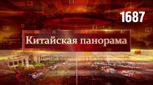 Достижения и перспективы ШОС, встречи на полях саммита, взгляд со стороны – (1687)
