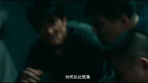 Чжан Синьчэн (видео Студии Чжана Синьчэна)