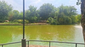 Городской сад в Краснодаре