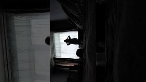 включаю песни🤘