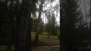 Резеда Ясюченя | ТОЧКА.РФ – МЕСТО | г. Казань