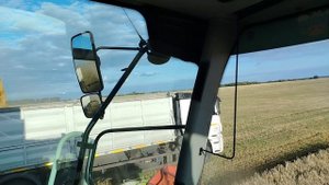 Выгрызаем ячмень 🌾🌾🌾