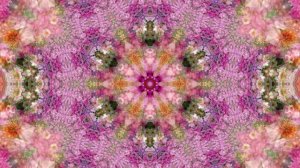 Видеофоны!!! Видеофон Осенний Вальс Хризантем!!!