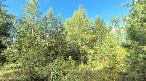 9700434  СТ № 56 Приозёрное