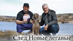 След Новые легавые 1 2 3 4 5 6 7 8 серия (Боевик 2025)