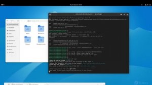 лабораторная работа02