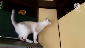 БЕРЁМ ЛЮБУЮ ВЫСОТУ!