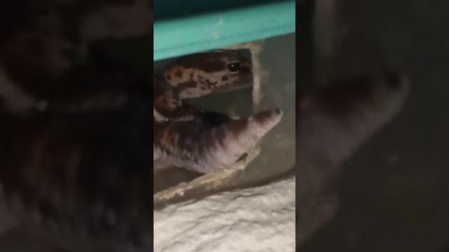 Ночь...