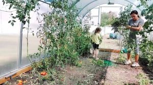 288 Жизнь на юге. Работаем на участке. Урожай гниёт, Сил нет, устала. Встреча с подругой.