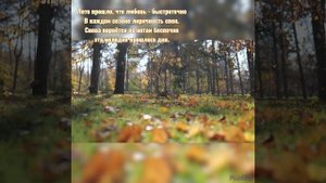 ☀️🍁🍂 ОСЕННИЙ ВАЛЬС 🕺💃#видеостихи