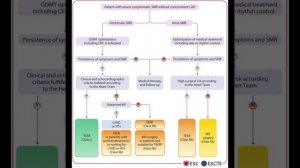 Рекомендации ESC/EACTS по лечению клапанных пороков сердца 2025 года. Горячий обзор