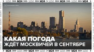 Температура превысит климатическую норму на 1–2 градуса в Москве в сентябре - Москва 24