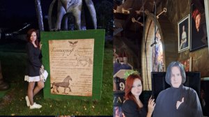 Ресторан Золотой Снич, Гарри Поттер