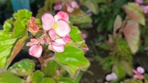 Николаев 2 сентября 2025 года (новости)