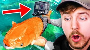Мистер Бист 
Я прикрепил GoPro к рыбе!