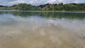 МУЗЫКА КАЧАЕТ 🎻 МУЗЫКА ЖИЗНЬ 🎻 СЛУШАЕМ МУЗЫКУ ОНЛАЙН БЕСПЛАТНО 🎻 СМОТРИМ КЛИП ВИДЕО