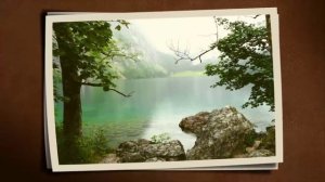 Vitam Venturi - The Nostradamus Code