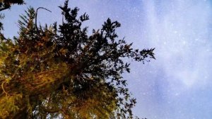 Деньги с неба. В сентябре эти 3 знака в шоке удачи.