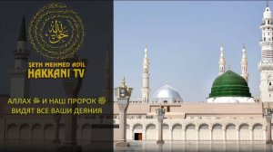 Аллах ﷻ и наш Пророк ﷺ видят все ваши деяния