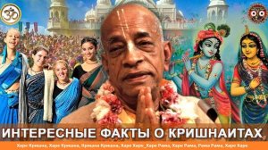 Как я стал кришнаитом - Шри Гуру Нитай и Максим Рыбакин 31.01.2025